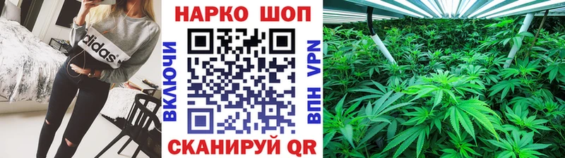 Наркошоп купить Конопля  Меф мяу мяу  Псилоцибиновые грибы  ГАШ  МЕТАДОН  COCAIN  Отрадная