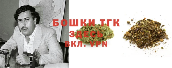 стафф Михайлов