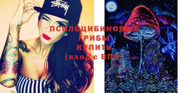 бошки Мегион