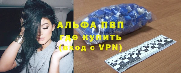 сатива Медногорск