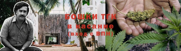 сатива Медногорск