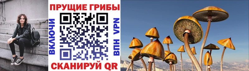 Галлюциногенные грибы MAGIC MUSHROOMS Отрадная